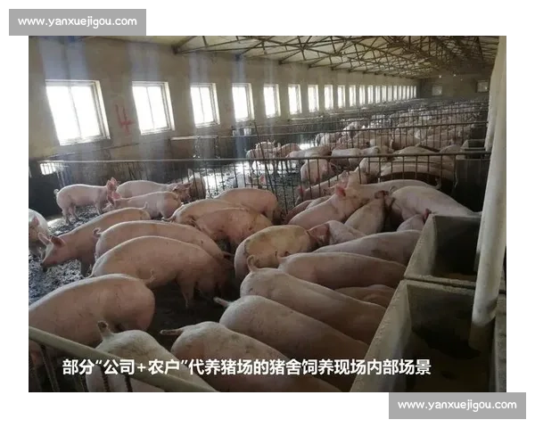 兽药比赛克林应用研究与动物健康管理创新实践探索 兽药比赛克林应用研究与动物健康管理创新实践探索