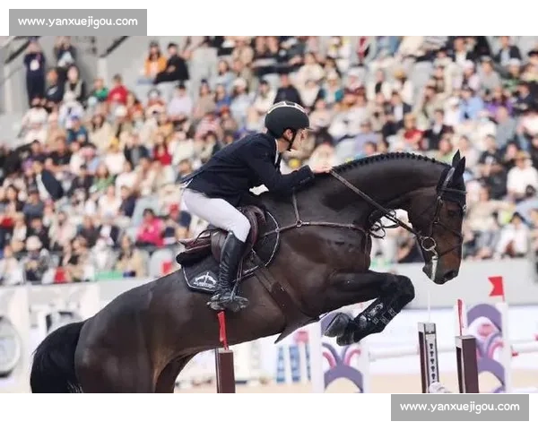 少年骑士竞技赛：激情与勇气的较量，展现年轻马术选手风采